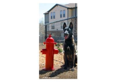 fire hydrant
